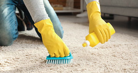 Hier findest du den Haushaltstrick zum Thema teppich reinigen