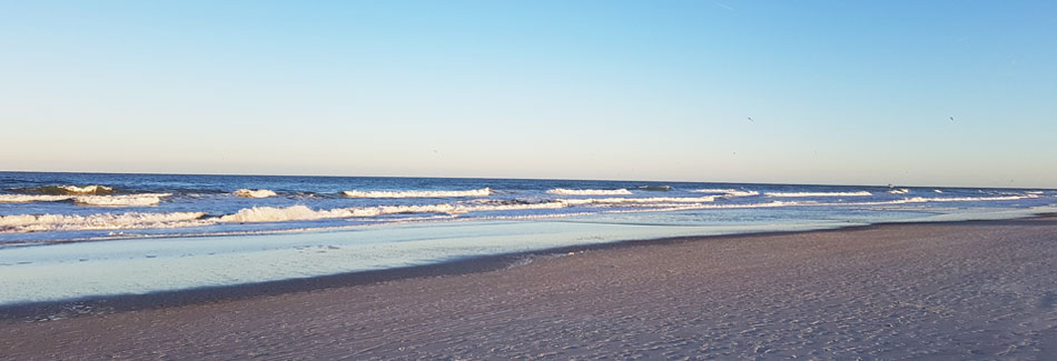 Unser Pointee ist in Florida