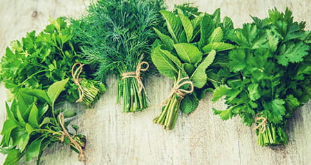 Vorsicht Fehler zum Thema Kräuter mitkochen