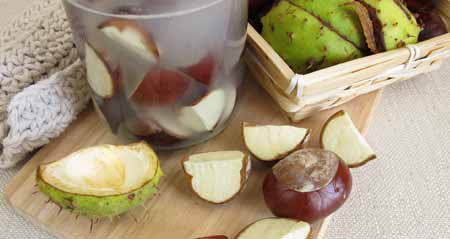 Biowaschmittel: Waschen mit Kastanien