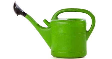 Kategorie Wie heißt zum Thema: tülle