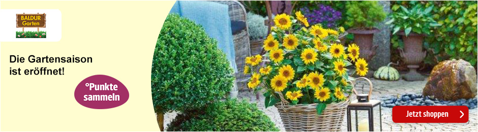 Baldur Garten: Punkte sammeln. Jetzt shoppen!