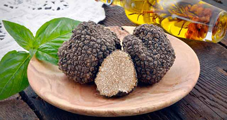 Aus der Kategorie Aha zum Thema trueffel