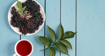 Holunder hilft bei Sonnenbrand