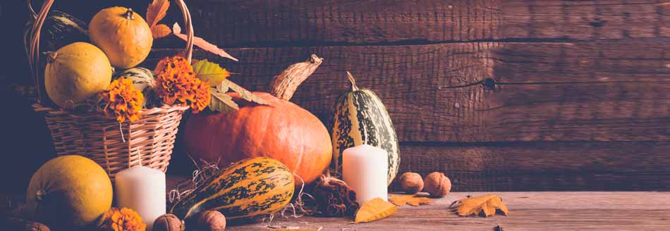 Welche Kürbisse muss man schälen?