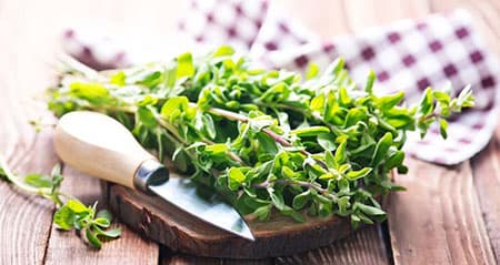 Dieses Gewürz heißt: majoran