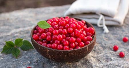 Dieses Obst ist eine: filzkirsche