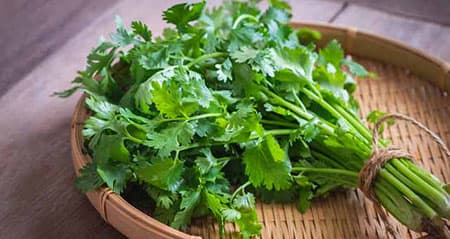 Dieses Gewürz heißt: koriander