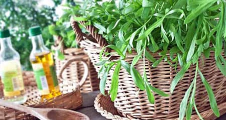 Dieses Gewürz heißt: estragon