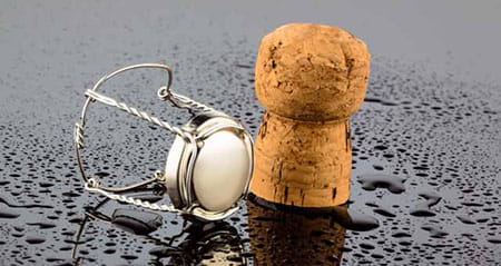 Kategorie Wie heißt zum Thema: agraffe