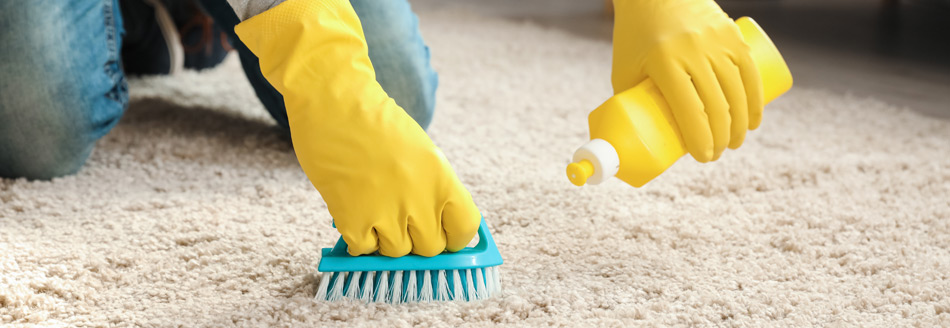 So reinigst du deinen Teppich mit Hausmitteln