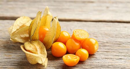 Dieses Obst ist eine: physalis