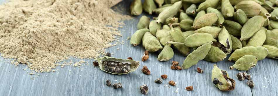 Gewürze: Kardamom
