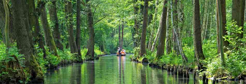 Unser Pointee ist im Spreewald