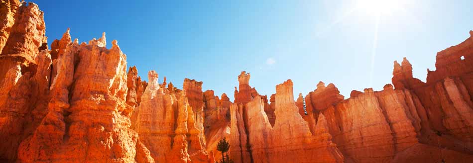 Leuchtend orangefarbene Hoodoos im Bryce Canyon in Utah